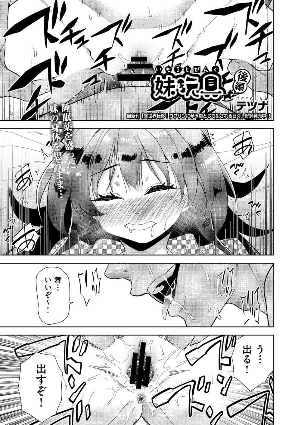 【エロ漫画】妹の体に一生残るくらいの………俺との子供を孕ませてやる【[テツナ] 妹玩具 後編】