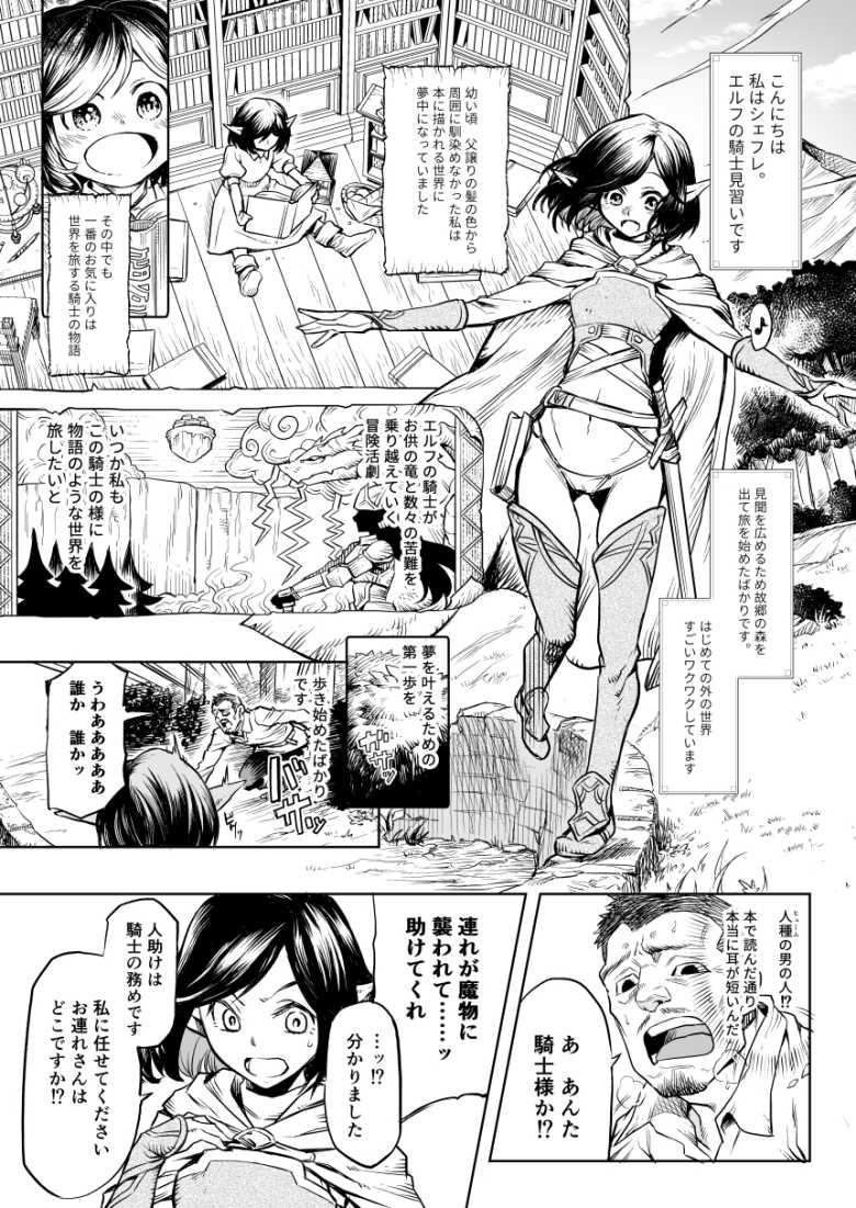 【エロ同人 堕とされる騎士の話】悪い貴族の言いなりになる女騎士【玉子房】のトップ画像