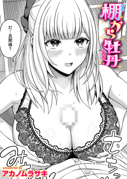 棚から牡丹【アカノムラサキ】