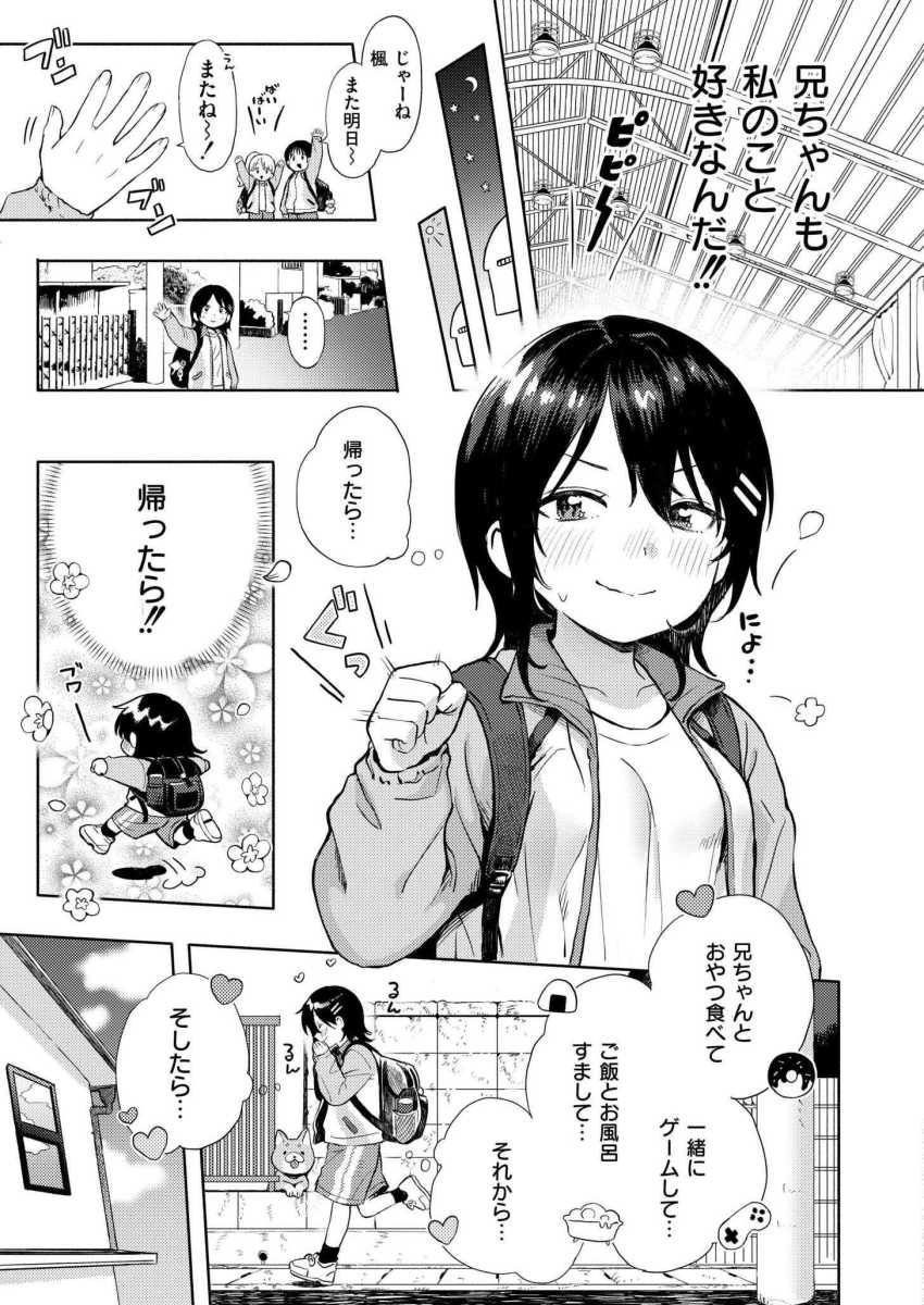 【エロ漫画】「兄ちゃんも私のこと好きなんだ！！」思いが伝わった次の日に離れ離れになってしまう【箱庭のラブコール】