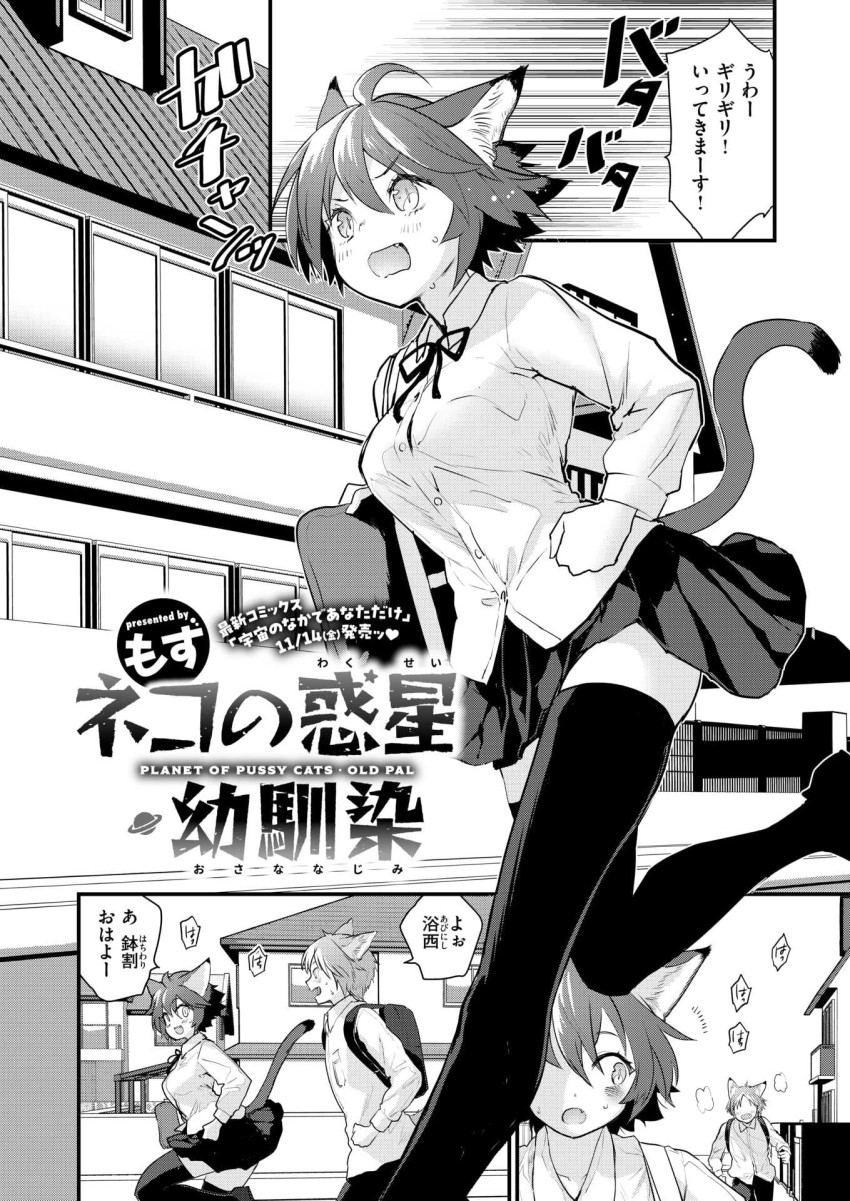 【エロ漫画】JKさん「…これでも…わたし…エロくない…？」猫が人類に進化した世界では発情期も健在で【ネコの惑星・幼馴染】