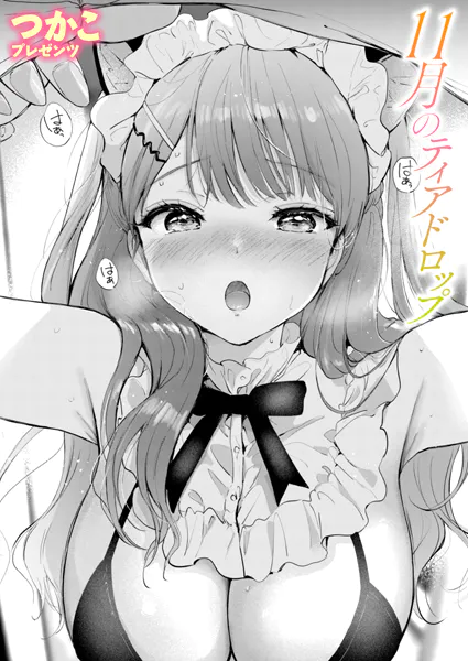 11月のティアドロップ【つかこ】