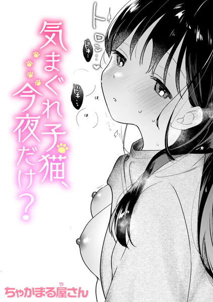 気まぐれ子猫、今夜だけ【ちゃかまる屋さん】
