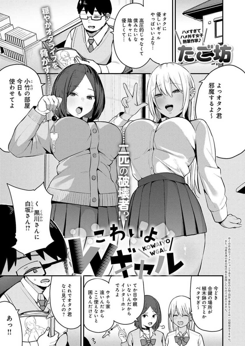 【エロ漫画】ギャルさん「でかすぎｗ海外レベルじゃんｗ」性欲強すぎなWギャルとハーレムエッチ【こわいよWギャル】のトップ画像