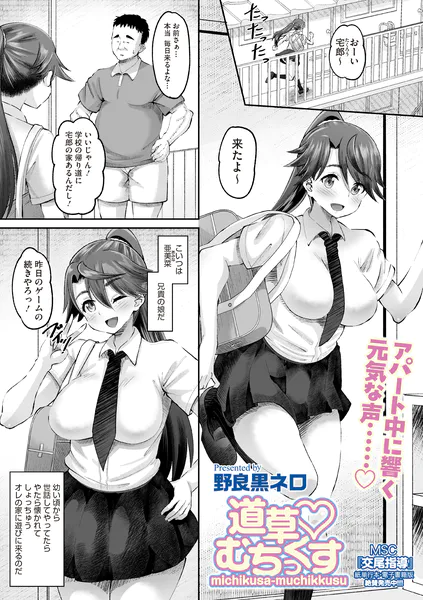 道草むちっくす【野良黒ネロ】